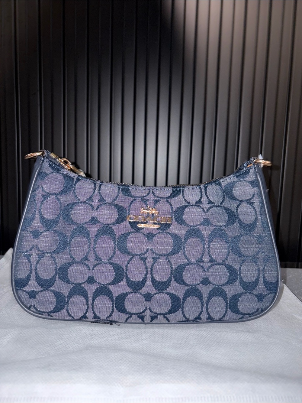 Coach Signature Shoulder Bag in Navy and Indigo